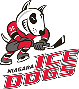 Niagara Ice Dogs